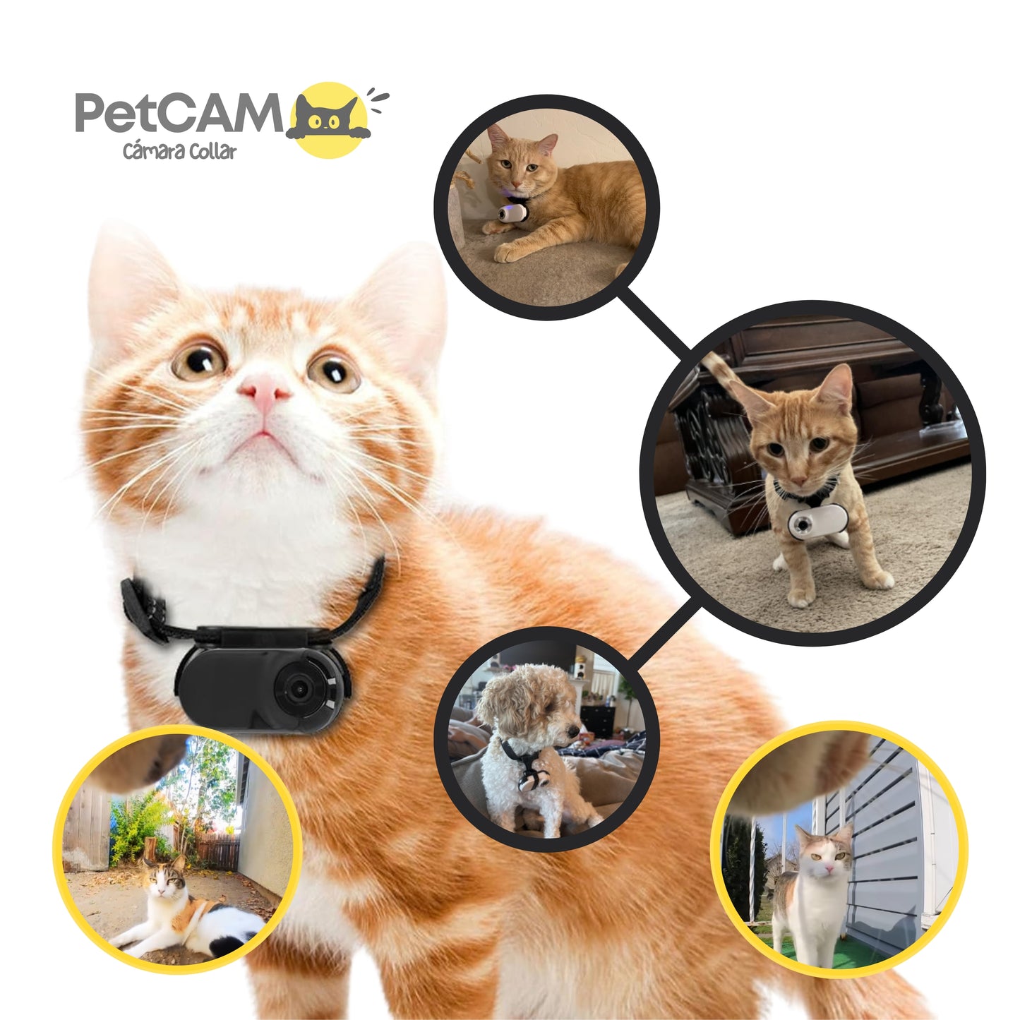Cámara Collar para Mascotas