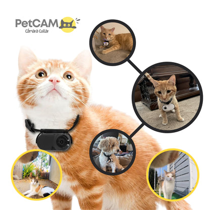 Cámara Collar para Mascotas